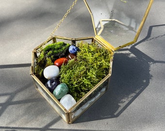 Fresh Moss Terrarium Kit, live plants and terrarium container, birthday gift, handmade gift, sympathy gift, date night w/ VIDEO INSTRUCTIONS