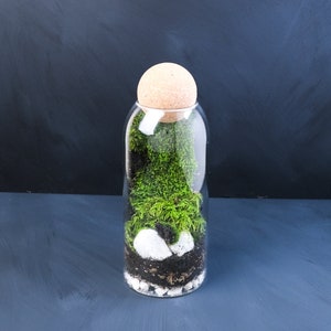 Terrarium waterfall kit sales