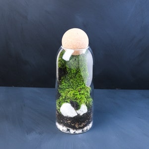 Pacific Northwest Terrarium Moss Green Moody Landscape 