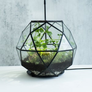 Mars Terrarium Kit DIY with live tropical plant and live moss, birthday gift, gift for him, airtight, lead free - VIDEO INSTRUCTIONS