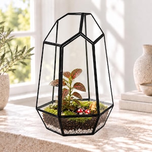 Puede incluir: Un terrario de cristal geom&eacute;trico con marco de metal negro que contiene una peque&ntilde;a planta con hojas de venas verdes y rojas, musgo verde, guijarros blancos, tierra oscura, dos setas miniatura rojas y blancas y una peque&ntilde;a figura animal.