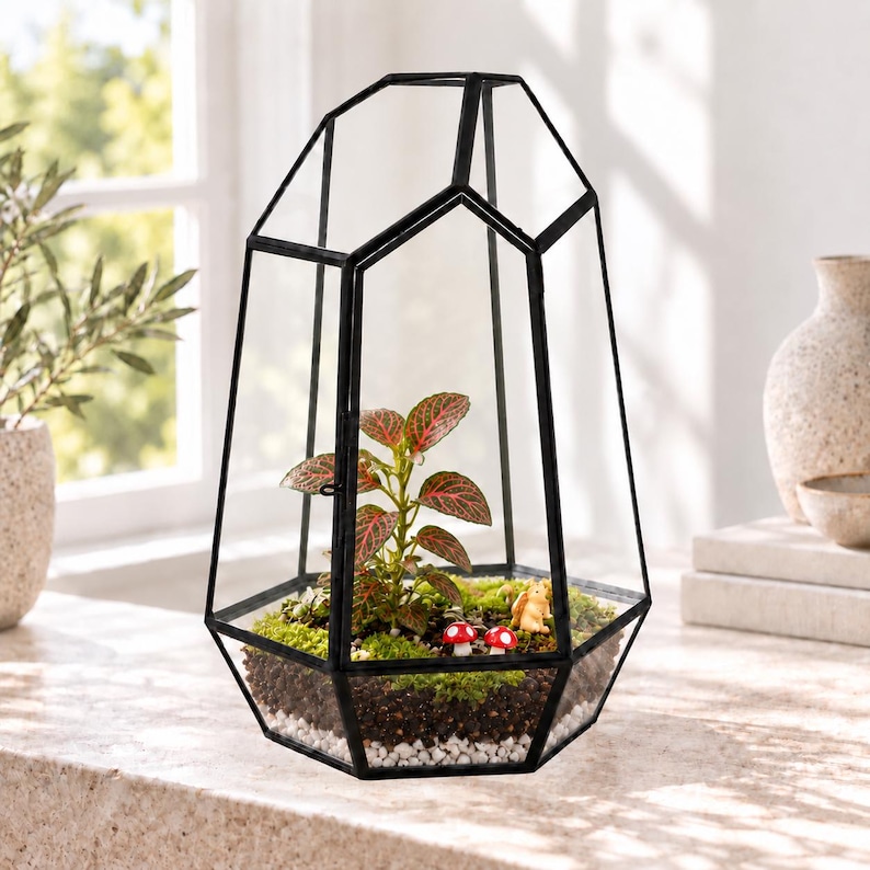 Puede incluir: Un terrario de cristal geom&eacute;trico con marco de metal negro que contiene una peque&ntilde;a planta con hojas de venas verdes y rojas, musgo verde, guijarros blancos, tierra oscura, dos setas miniatura rojas y blancas y una peque&ntilde;a figura animal.