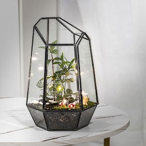 Puede incluir: Un terrario de cristal geom&eacute;trico con marco de metal negro que contiene plantas verdes, musgo, guijarros blancos, dos peque&ntilde;as figuras de setas rojas y blancas, una figura de ardilla diminuta y luces de alambre brillantes en su interior.