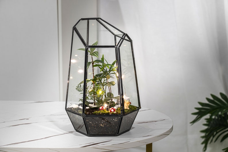 Puede incluir: Un terrario de cristal geom&eacute;trico con marco de metal negro que contiene plantas verdes, musgo, guijarros blancos, dos peque&ntilde;as figuras de setas rojas y blancas, una figura de ardilla diminuta y luces de alambre brillantes en su interior.