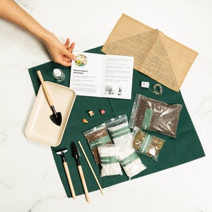 16 Item DIY terrarium kit, All you need is the Container and Plants | Mini greenhouse, Terrarium Starter Kit with VIDEO INSTRUCTIONS