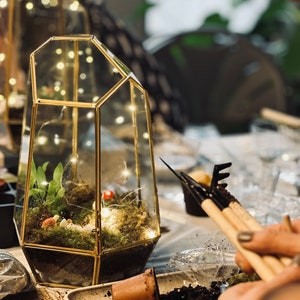 May include: A gold geometric glass terrarium with a small plant, moss, and fairy lights inside. The terrarium is sitting on a table with a small brown pot and gardening tools.