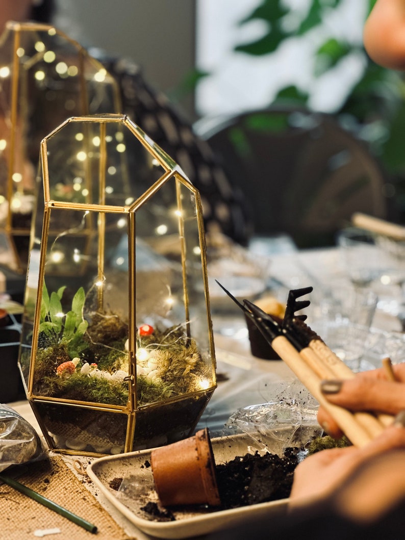 May include: A gold geometric glass terrarium with a small plant, moss, and fairy lights inside. The terrarium is sitting on a table with a small brown pot and gardening tools.