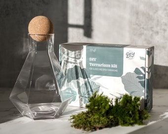 Airy Space Terrarium Kit with live moss and exotic plants, terrarium containers, glass planter, succulent planter with VIDEO INSTRUCTIONS