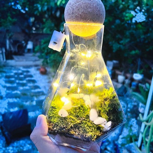 Glass Terrarium Container Etsy