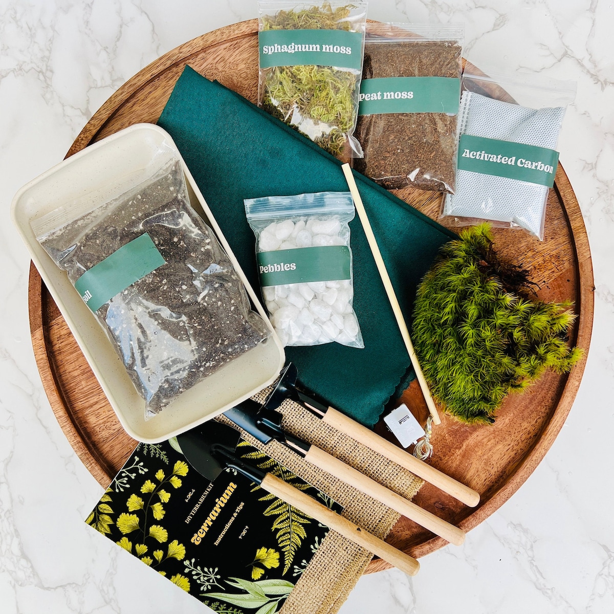 Complete Closed Terrarium Kit With Live Moss Plants and Terrarium Container, Birthday Gift, Handmade Sympathy Gift, W/ VIDEO INSTRUCTIONS - Etsy