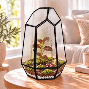 Puede incluir: Un terrario geom&eacute;trico de cristal con marco de metal negro que contiene una peque&ntilde;a planta de hojas verdes con vetas rojas, musgo verde, tierra marr&oacute;n, guijarros blancos, dos setas rojas y blancas en miniatura y una peque&ntilde;a figura de ardilla.