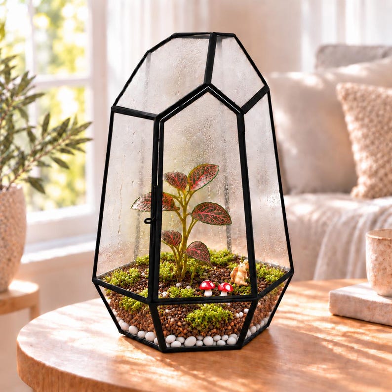 Puede incluir: Un terrario geom&eacute;trico de cristal con marco de metal negro que contiene una peque&ntilde;a planta de hojas verdes con vetas rojas, musgo verde, tierra marr&oacute;n, guijarros blancos, dos setas rojas y blancas en miniatura y una peque&ntilde;a figura de ardilla.