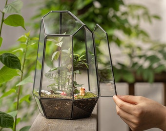 Large Terrarium Kit DIY / live Moss / Tropical Plant, bioactive terrarium, personalized birthday gift, mothers day gift, stem kit for kids
