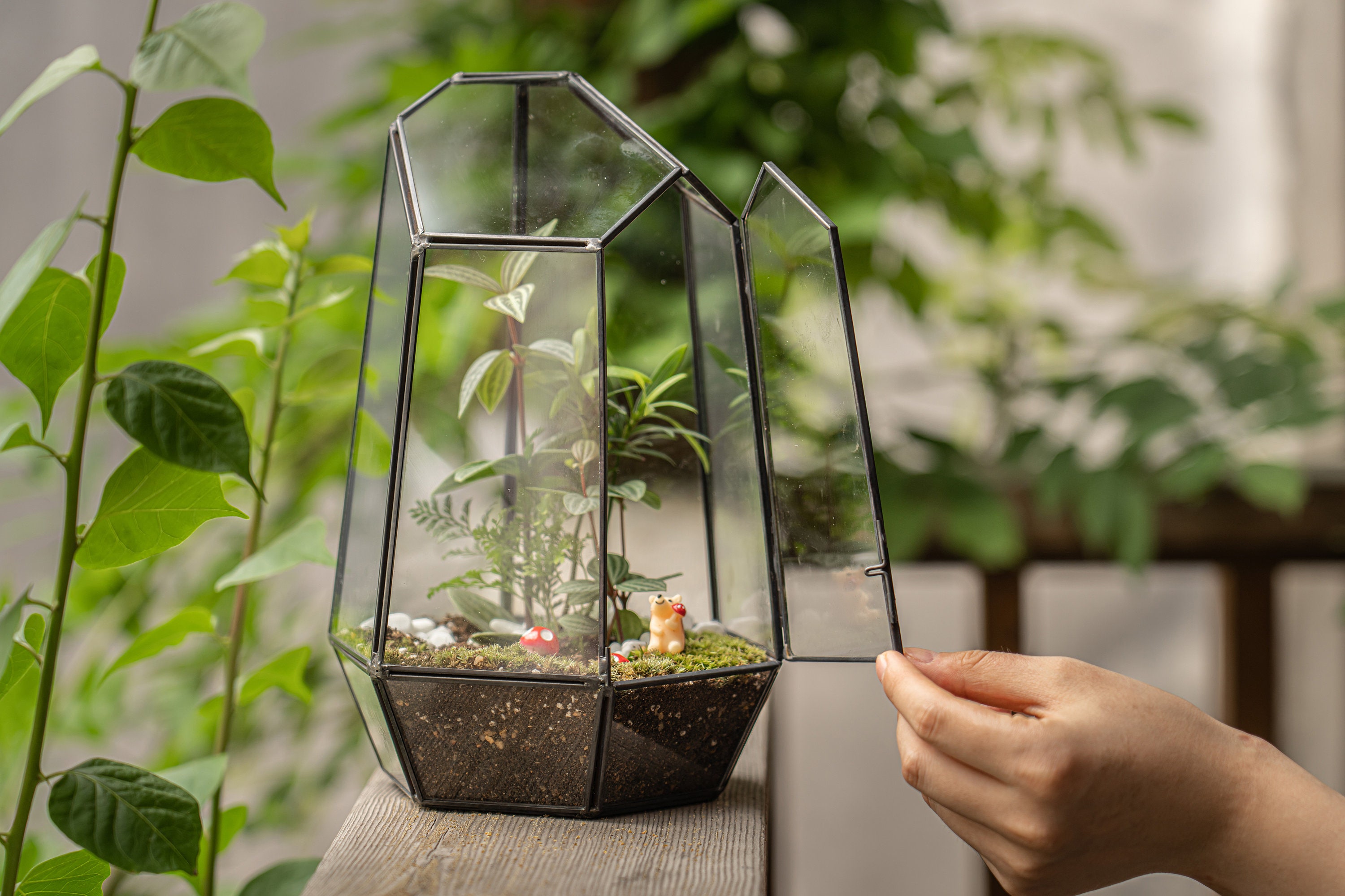 Bioactive vivarium supplies deals