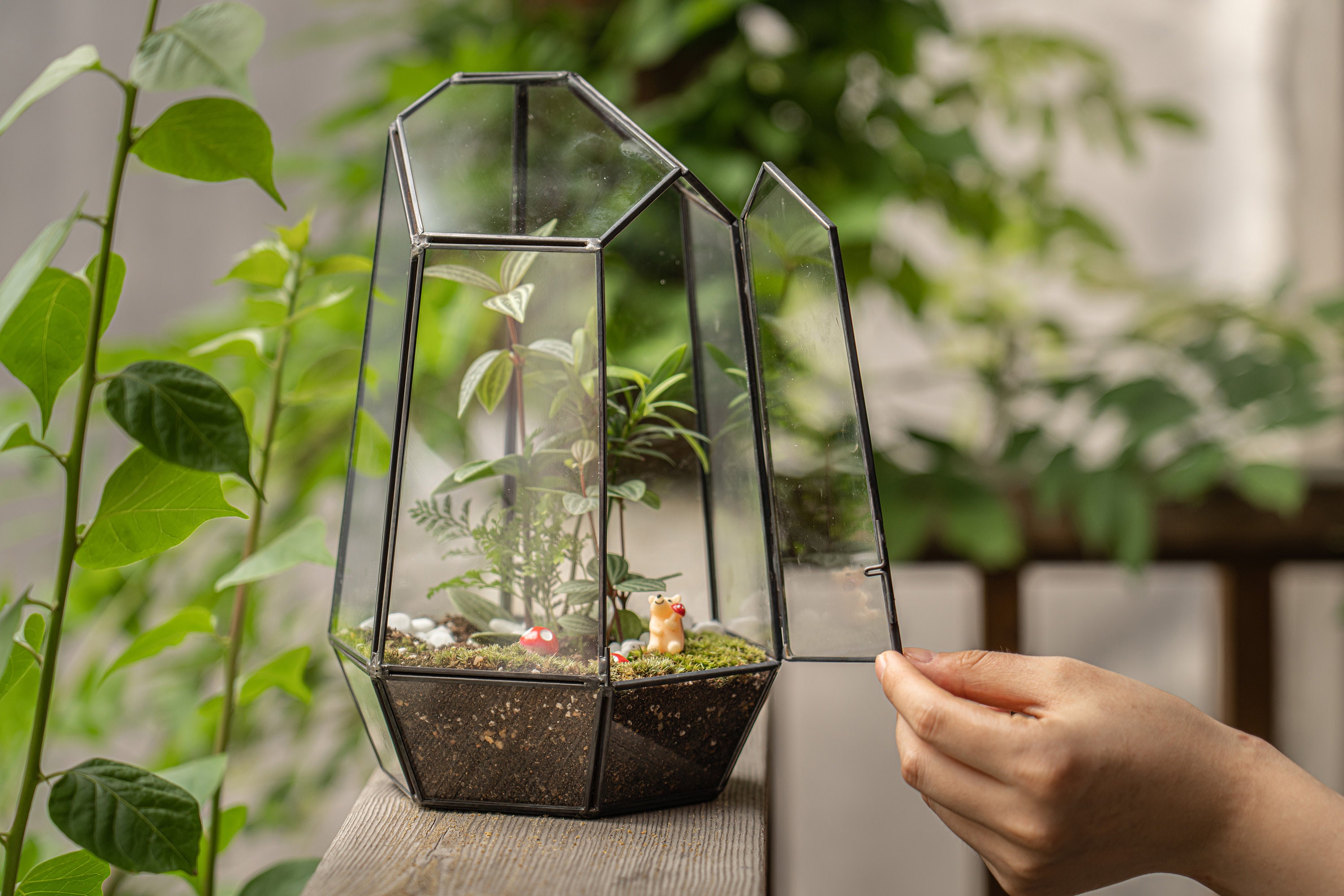 Pot de fleurs fait main en verre dodécaèdre pentagonal transparent,  terrarium