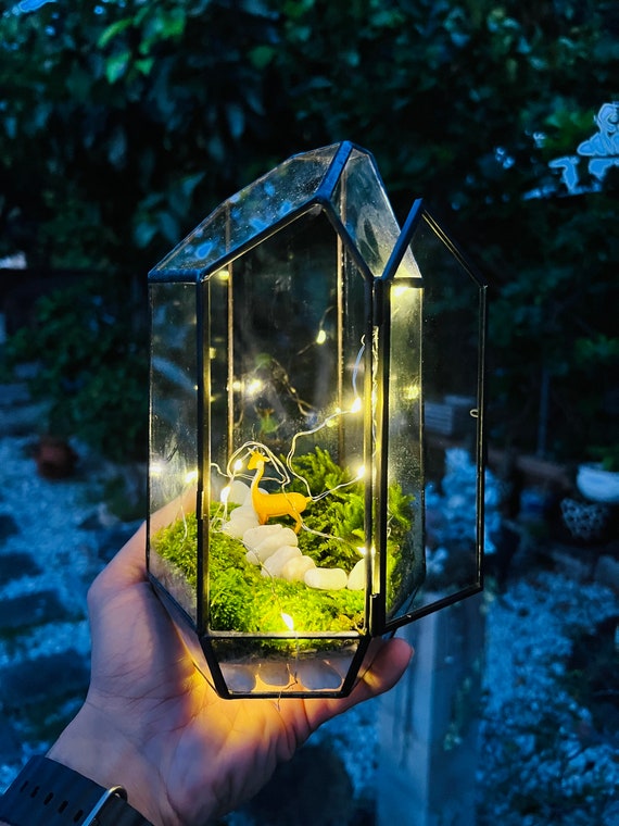 Custom, LED and Acrylic live sphagnum moss Aquariums 