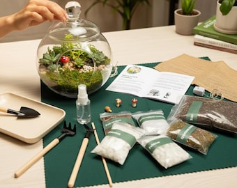 DIY Terrarium Starter Kit: Mini Greenhouse - No Plants Included