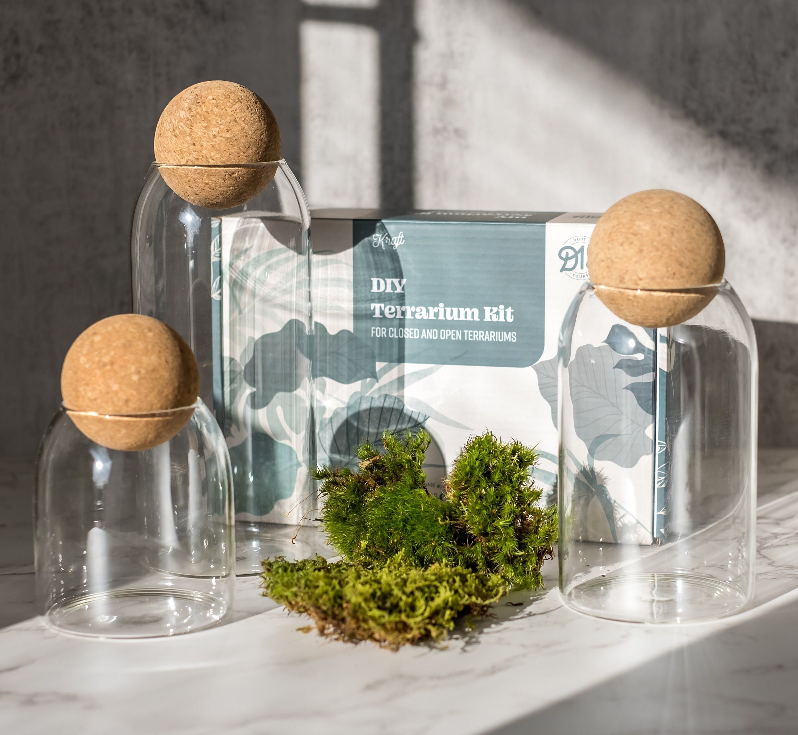 Family Size Closed Terrarium Kit With Moss With Plants3x and Terrarium  Container3x, Nature Inspired Decor With VIDEO INSTRUCTIONS 