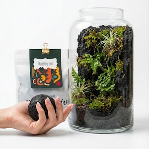 Modeling soil adhesive for vertical moss art | Nutrient base that bonds to glass for creating living walls and botanical decor | Easy Apply