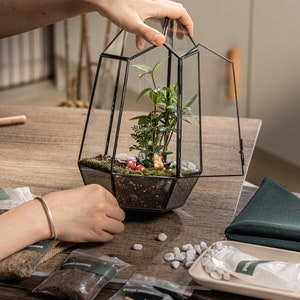 Puede incluir: Un terrario de cristal geom&eacute;trico con marco de metal negro que contiene tierra, plantas verdes, guijarros blancos y peque&ntilde;as figuras de setas rojas. El terrario tiene una puerta abatible y est&aacute; rodeado de bolsas de turba y herramientas.