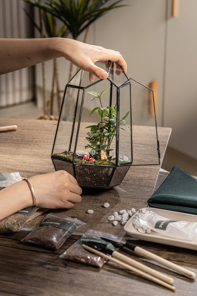 Puede incluir: Un terrario de cristal geom&eacute;trico con marco de metal negro que contiene tierra, plantas verdes, guijarros blancos y peque&ntilde;as figuras de setas rojas. El terrario tiene una puerta abatible y est&aacute; rodeado de bolsas de turba y herramientas.