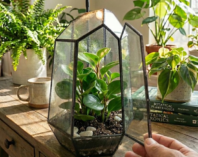 Large Terrarium Kit with Live Tropical Plants & Moss | XL Wardian Case Closed Terrarium DIY Kit, Bioactive Indoor Garden, STEM Gift