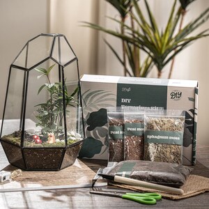 May include: DIY terrarium kit with a glass terrarium, peat moss, sphagnum moss, and a small wooden box. The kit includes everything you need to create your own miniature garden.