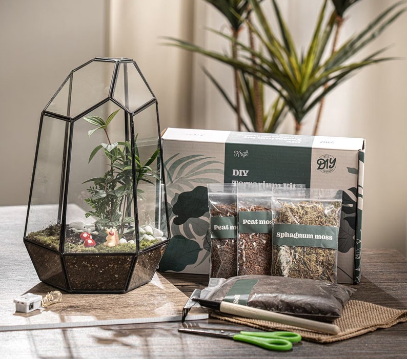 May include: DIY terrarium kit with a glass terrarium, peat moss, sphagnum moss, and a small wooden box. The kit includes everything you need to create your own miniature garden.