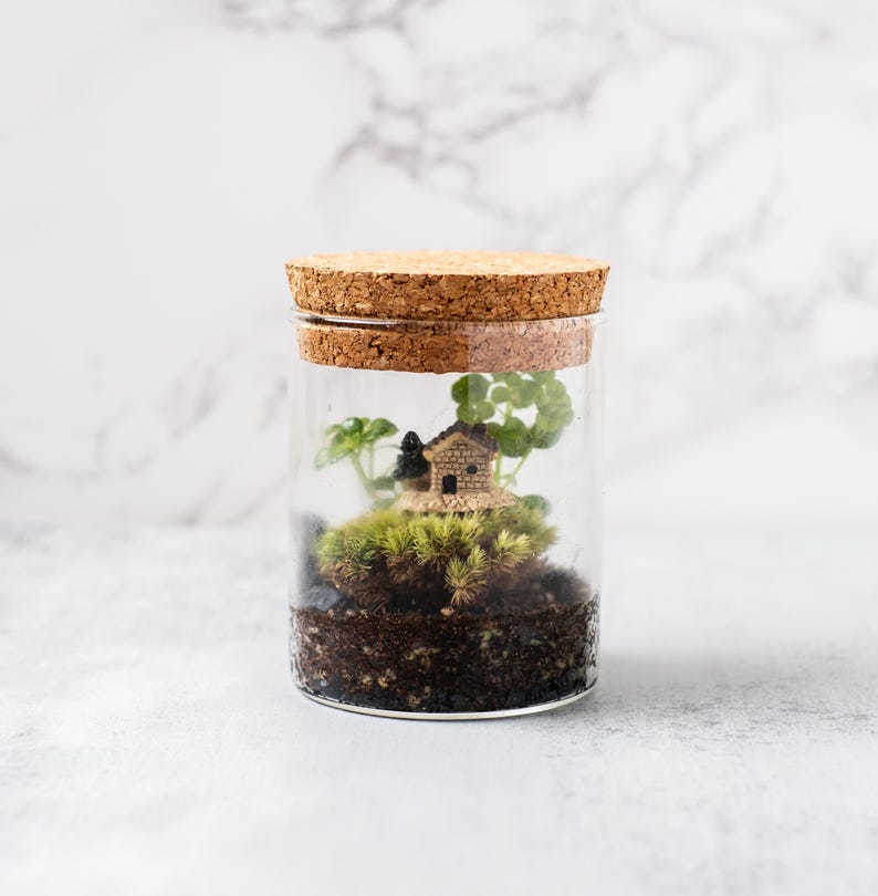 Pu&ograve; includere: Un terrario di vetro con un coperchio di sughero, che contiene una casa in miniatura, muschio verde e piccole piante.