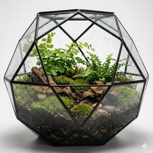 Geometric Terrarium Kit | A Fantastic Gift  DIY with live terrarium plants and live moss, bioactive terrarium kit,  Luxury Gift, Science kit