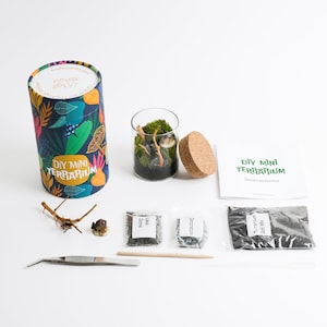Terrarium Kit with live Moss for Kids, Self Sustaining Terrarium DIY Kit, Closed Terrarium birthday gift for kids and adults. Stem Activity