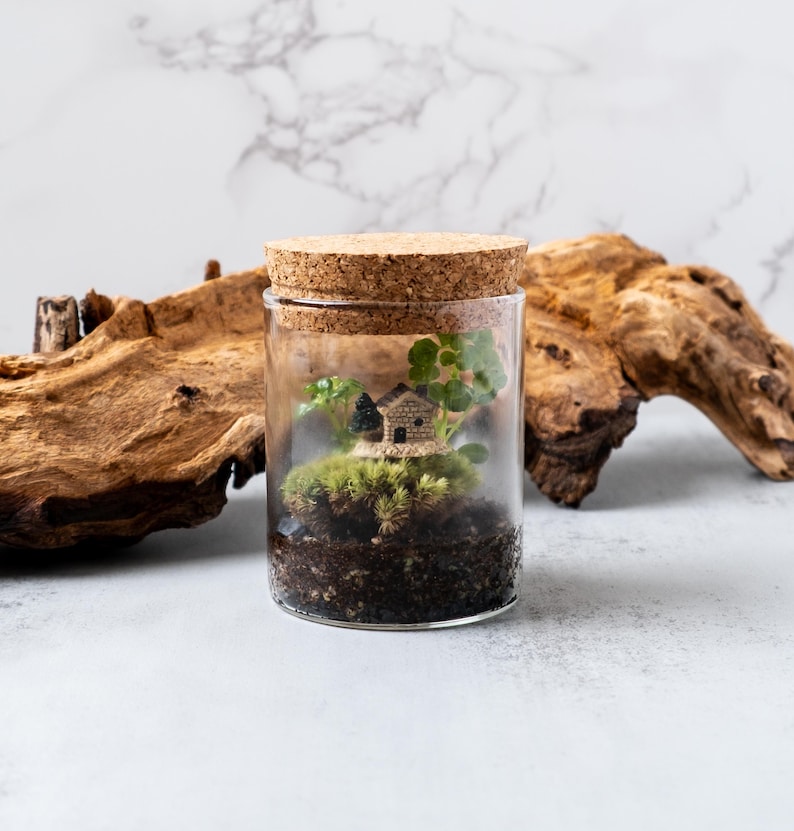 Pu&ograve; includere: Un terrario di vetro con una casa in miniatura, muschio verde e piccole piante all'interno. Il barattolo ha un tappo di sughero e si trova su una superficie di legno marrone chiaro.