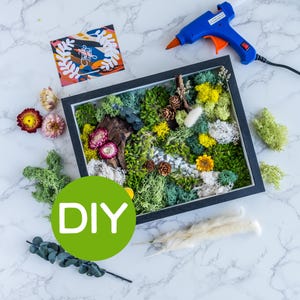 NEW Diy Premium Moss Wall Art Kit | Nature Lover Gift | Adult Craft Kit | DIY Moss Wall Kit | Mothers day gift, Easy Craft Kit, Kid friendly