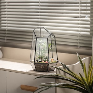 Puede incluir: Un terrario de cristal geom&eacute;trico con marco de metal negro que contiene una peque&ntilde;a planta verde, tierra y dos figuras en miniatura de setas rojas. El recipiente tiene una forma asim&eacute;trica con m&uacute;ltiples facetas.