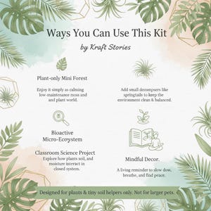 Bioactive Terrarium Kit with live Moss with terrarium container, birthday gift for her, gift for him, housewarming w/ VIDEO INSTRUCTIONS image 5