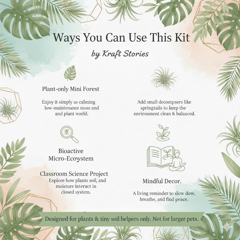 Bioactive Terrarium Kit with live Moss with terrarium container, birthday gift for her, gift for him, housewarming w/ VIDEO INSTRUCTIONS image 5