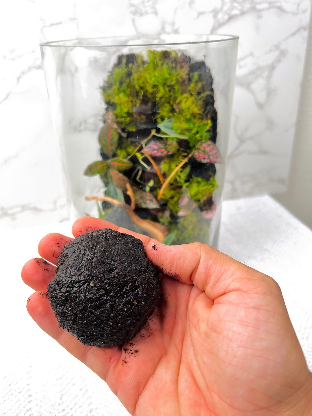 Terrarium Modeling Soil Mix, Glassadhesive, Nutrientrich Terrarium