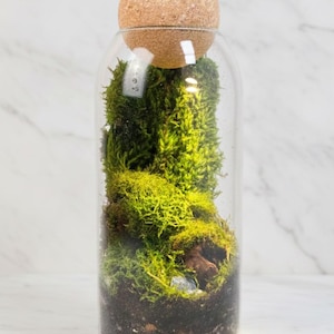 生きた苔テラリウムキット、DIY密閉式テラリウム＆ミニ温室、ガラス瓶ガーデン、バイオアクティブ植物キット、大人と子供へのクラフトギフト 画像 4
