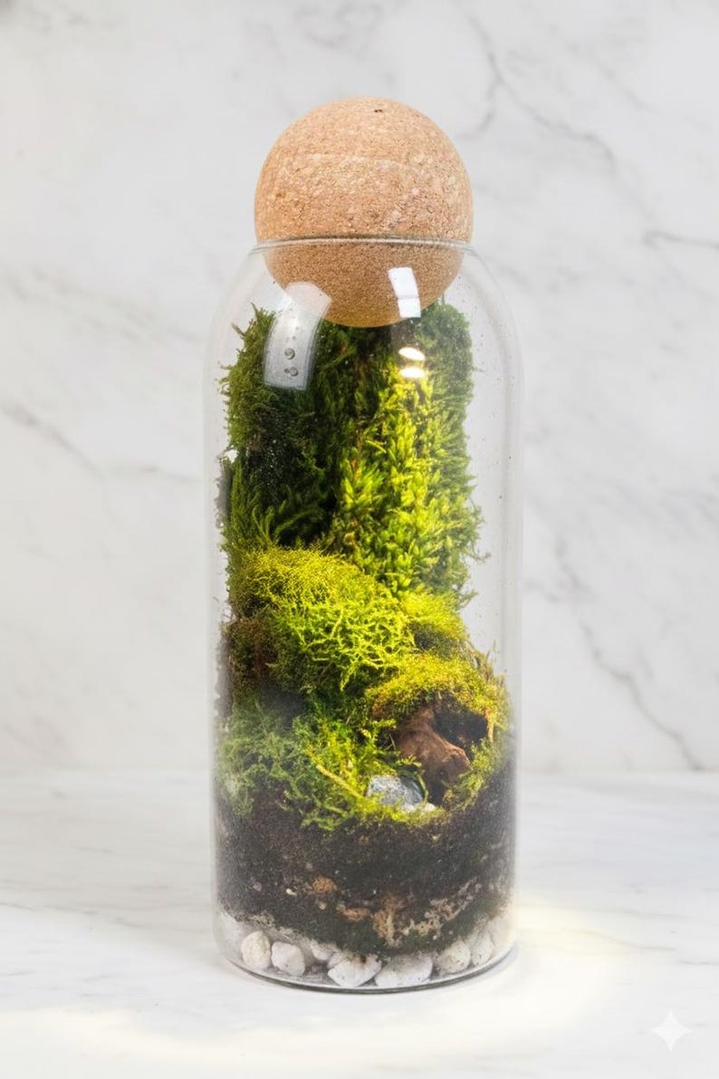生きた苔テラリウムキット、DIY密閉式テラリウム＆ミニ温室、ガラス瓶ガーデン、バイオアクティブ植物キット、大人と子供へのクラフトギフト 画像 4