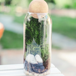 生きた苔テラリウムキット、DIY密閉式テラリウム＆ミニ温室、ガラス瓶ガーデン、バイオアクティブ植物キット、大人と子供へのクラフトギフト 画像 6