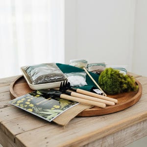 Bioactive Terrarium Kit with live Moss with terrarium container, birthday gift for her, gift for him, housewarming w/ VIDEO INSTRUCTIONS image 3