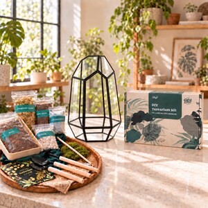 Puede incluir: Un kit de terrario DIY que incluye un recipiente de vidrio geom&eacute;trico con marco de metal negro, una caja de cart&oacute;n etiquetada como DIY Terrarium Kit y varios suministros como bolsas de tierra, musgo, guijarros y herramientas en una bandeja de madera.