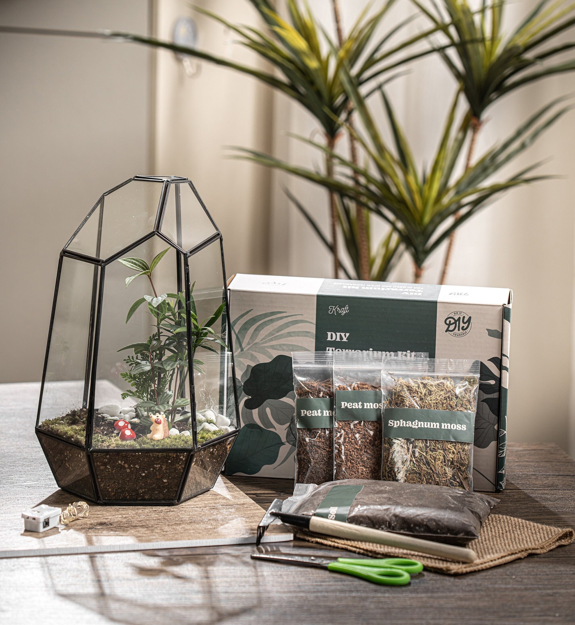 Large Terrarium Kit DIY / Live Moss / Tropical Plant, Bioactive Terrarium,  Holiday, Birthday Gift, Fantastic Christmas Gift, Stem Kit Kids - Etsy