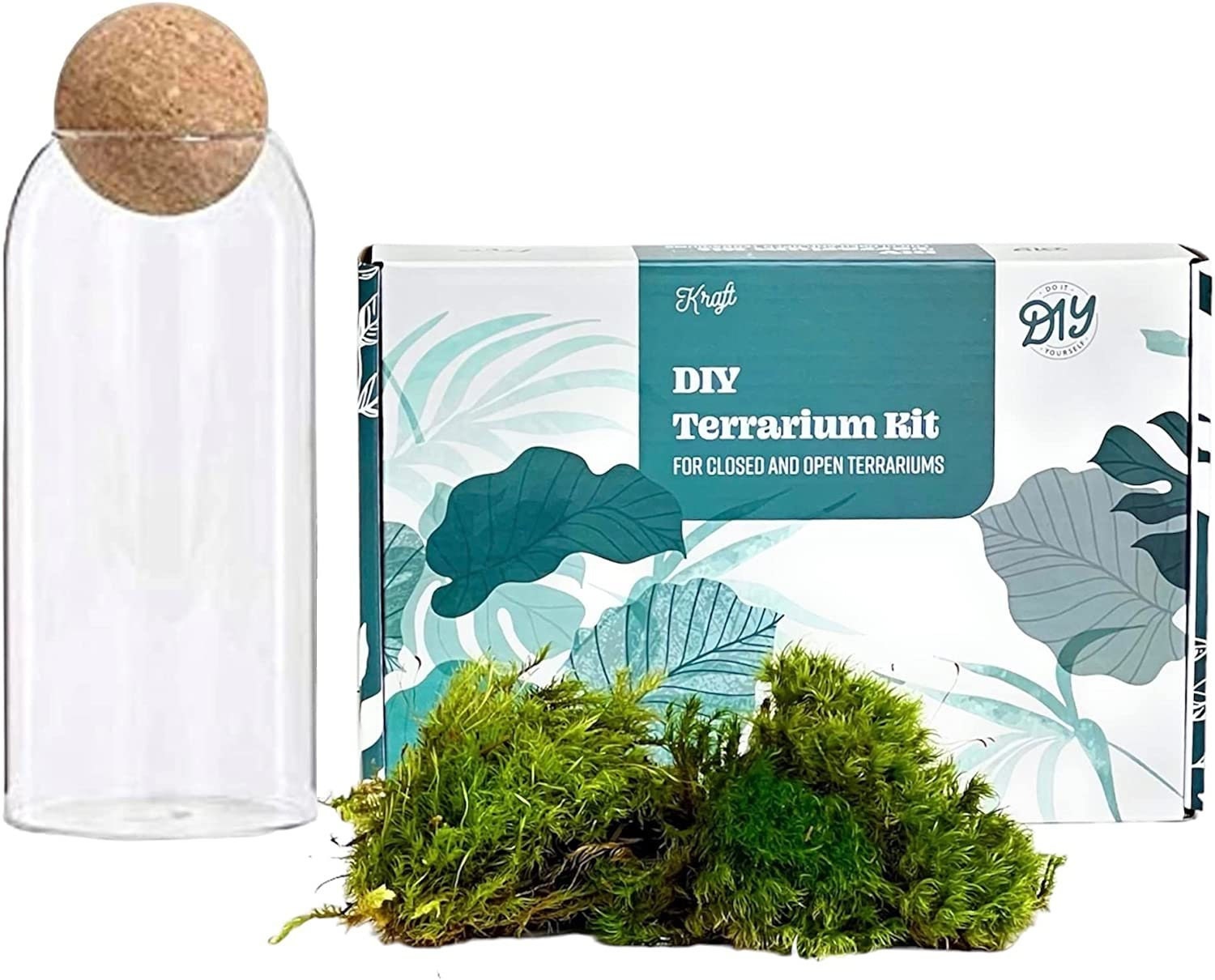 Complete Closed Terrarium Kit With Live Plants and Live Moss