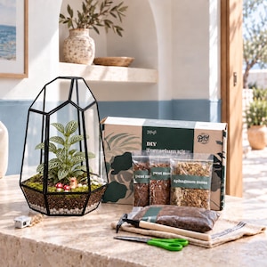 Puede incluir: Un kit de terrario DIY que incluye un recipiente de vidrio geom&eacute;trico con marco de metal negro, una planta verde y figuras de hongos en miniatura. El kit contiene una caja de cart&oacute;n, bolsas etiquetadas de turba y musgo sphagnum, tierra y herramientas.