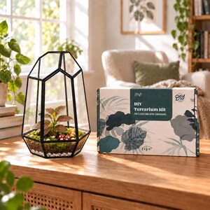 Puede incluir: Un terrario de cristal geom&eacute;trico con marco de metal negro que contiene una planta peque&ntilde;a, musgo, guijarros blancos y dos setas rojas en miniatura, junto a una caja de cart&oacute;n rectangular etiquetada DIY Terrarium Kit for closed and open terrariums.