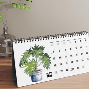 Watercolor Houseplant Desktop Calendar, Indoor Plant Illustration Monthly Planner, Monstera, Fig, Cactus, Gift for Plant Lovers, Office image 1