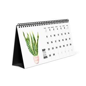Watercolor Houseplant Desktop Calendar, Indoor Plant Illustration Monthly Planner, Monstera, Fig, Cactus, Gift for Plant Lovers, Office image 3