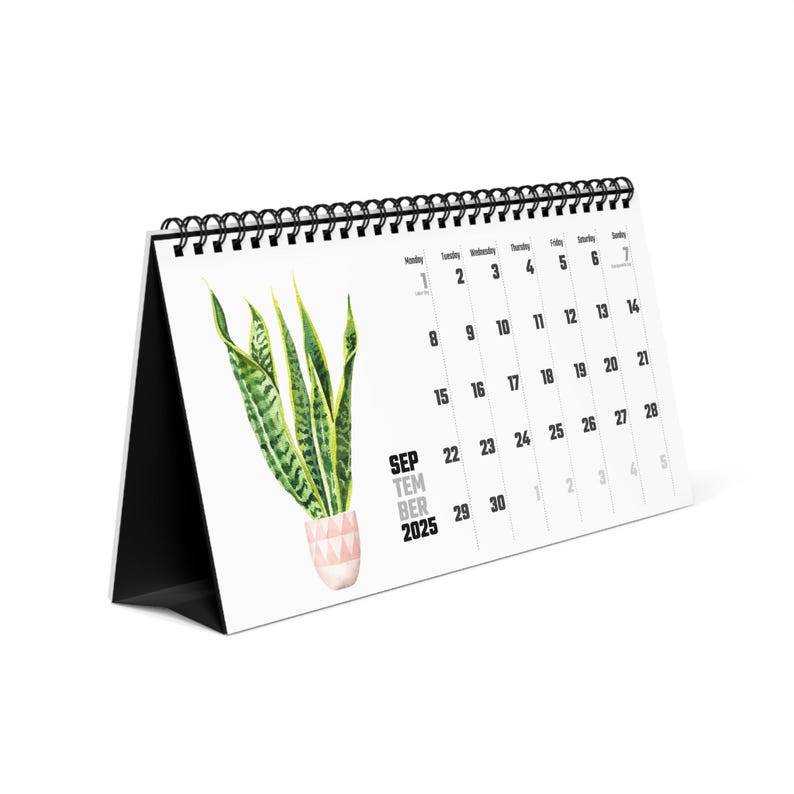 Watercolor Houseplant Desktop Calendar, Indoor Plant Illustration Monthly Planner, Monstera, Fig, Cactus, Gift for Plant Lovers, Office image 3