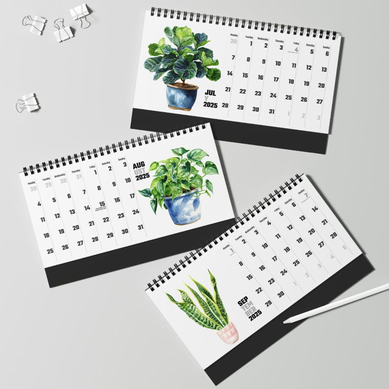 Watercolor Houseplant Desktop Calendar, Indoor Plant Illustration Monthly Planner, Monstera, Fig, Cactus, Gift for Plant Lovers, Office image 7